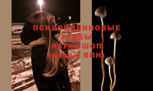 гидропоника Осташков