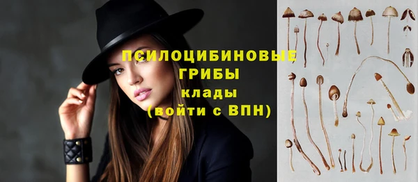 гидропоника Осташков
