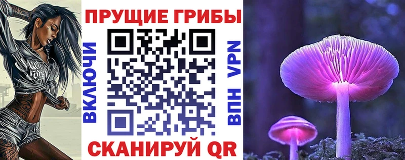 Галлюциногенные грибы GOLDEN TEACHER  хочу   hydra зеркало  Закаменск 