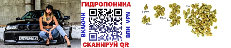 kraken как зайти  Закаменск  Каннабис план 